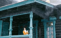 无翼鸟之成熟母系大全